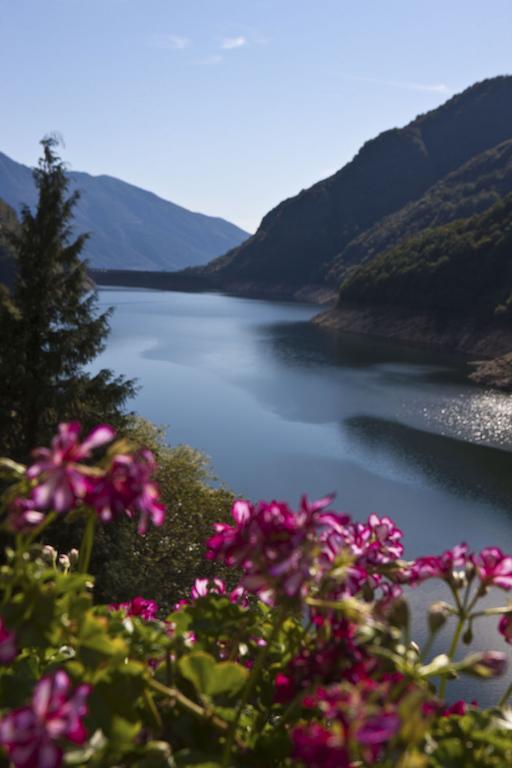 Hotel Al Lago Vogorno Kültér fotó